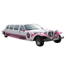 Teen Limo Party